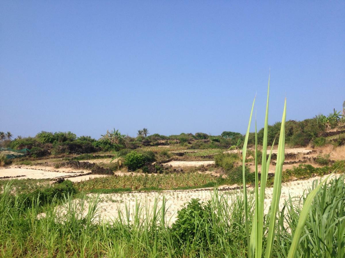 Countryside Homestay กว๋างหงาย ภายนอก รูปภาพ